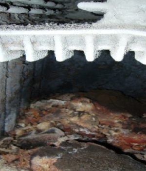 img-17119662-4297-2798