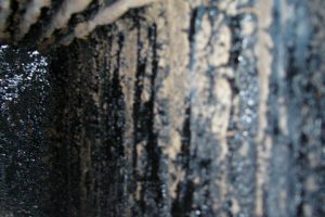 img-79918162-5317-7318